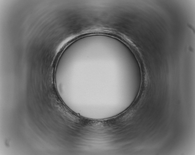 X0000103131222200808221034