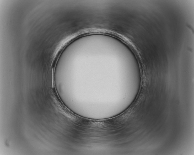 X0000103131223200808221034