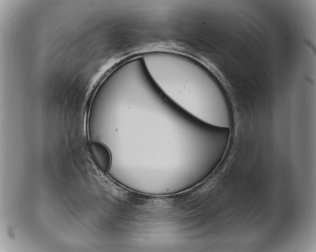 X0000103131224200808221034