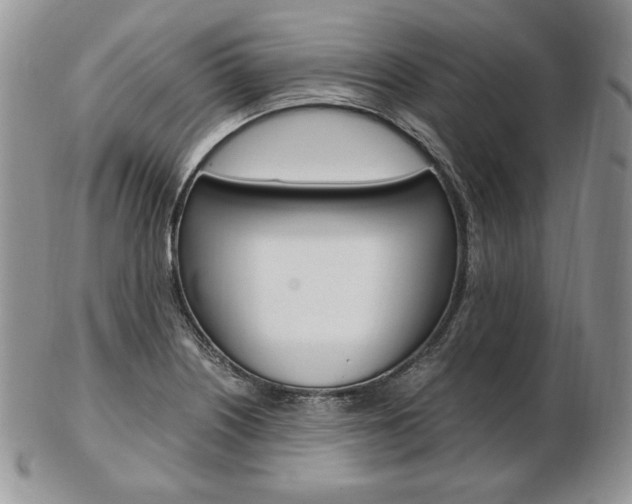 X0000103131226200808221034