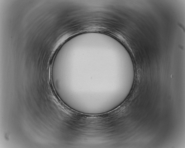 X0000103131227200808221034