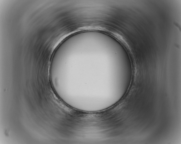 X0000103131228200808221034