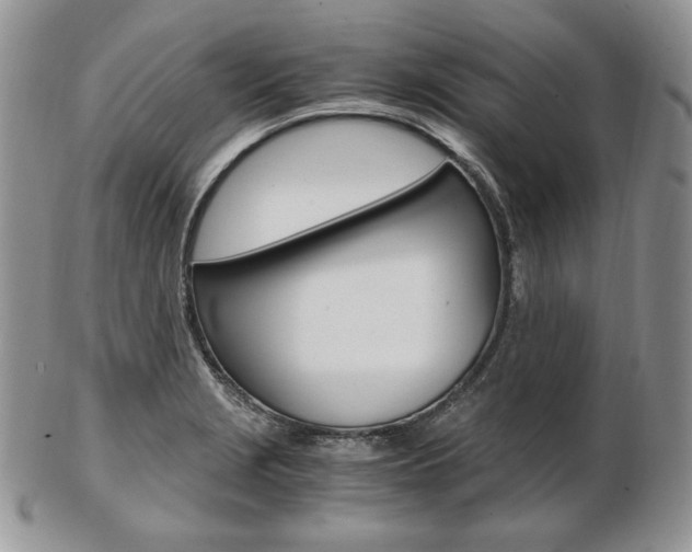 X0000103131229200808221034