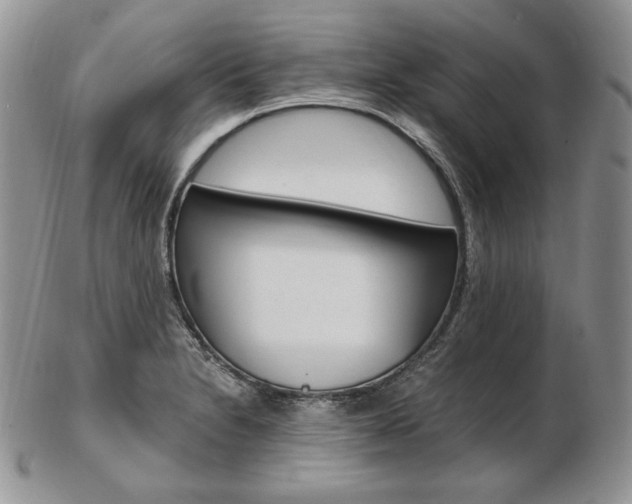 X0000103131230200808221034