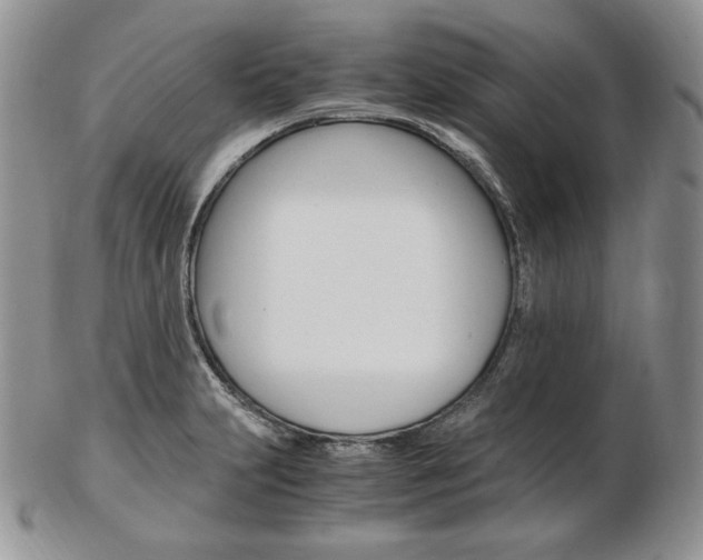X0000103131231200808221034
