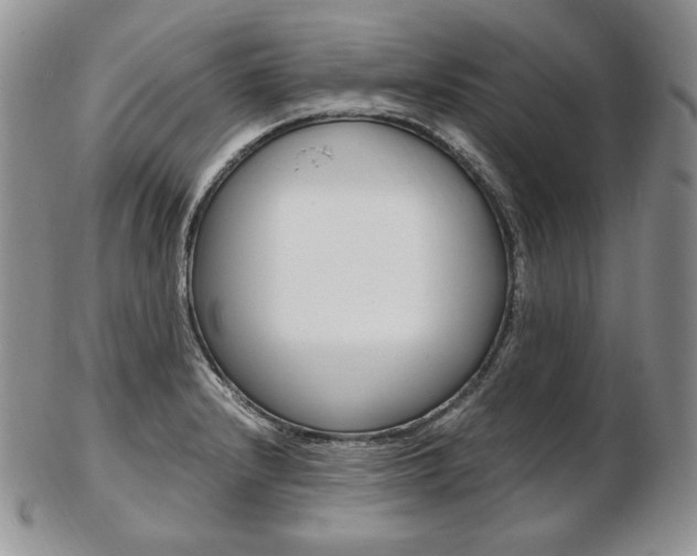 X0000103131232200808221034