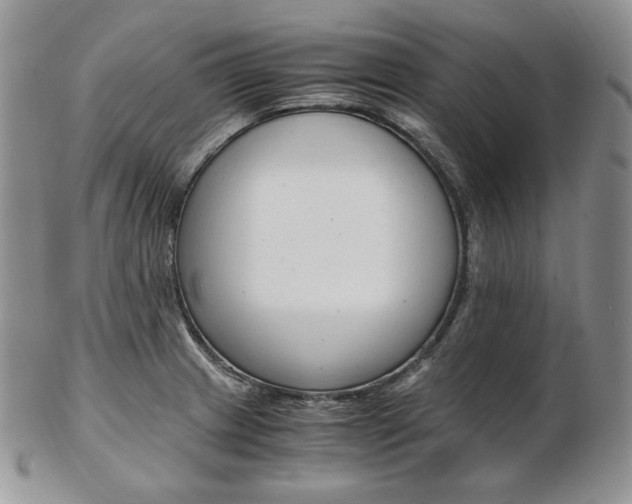 X0000103131233200808221034