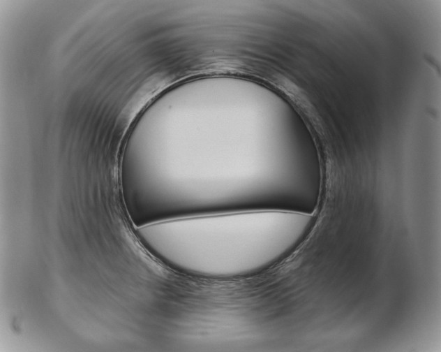 X0000103131234200808221034