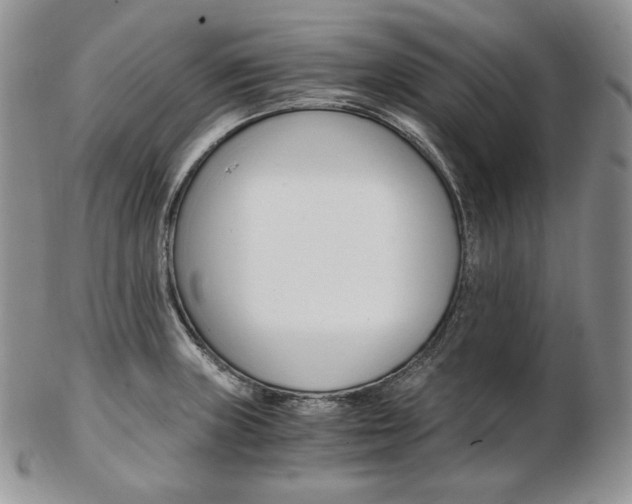 X0000103131235200808221034