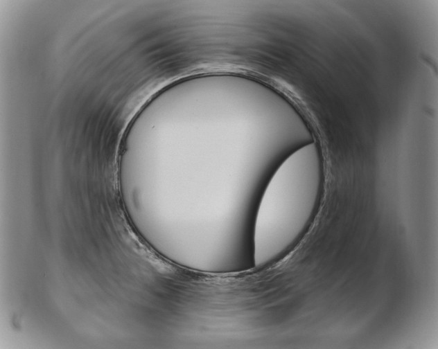 X0000103131236200808221034
