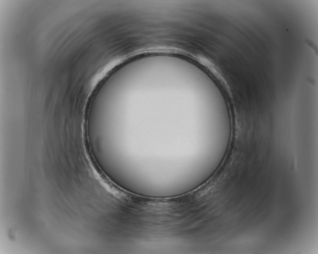 X0000103131237200808221034