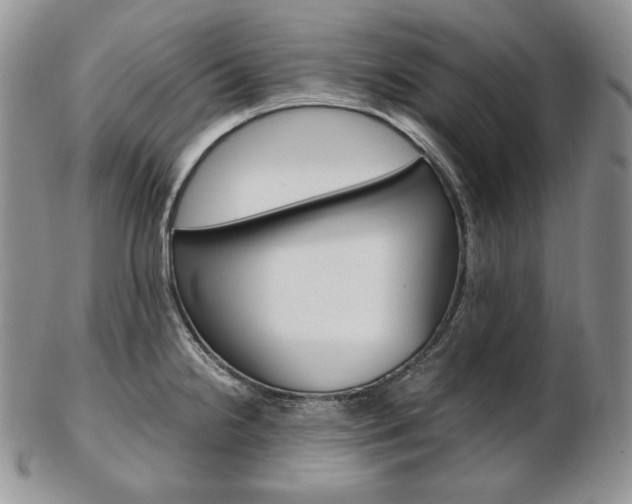X0000103131238200808221034