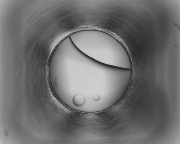 X0000103131239200808221034