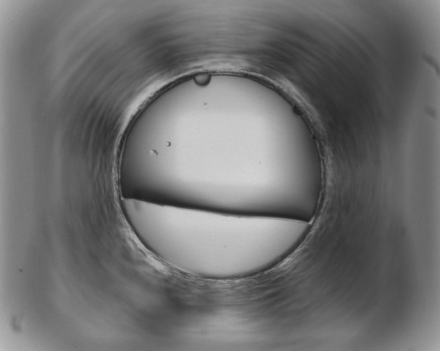 X0000103131240200808221034