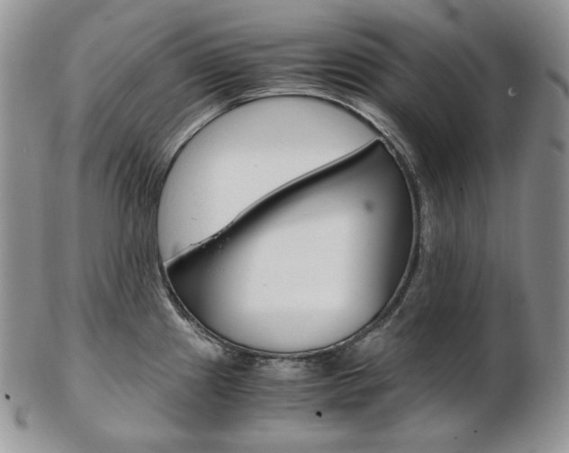 X0000103131241200808221034