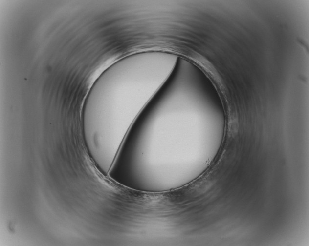 X0000103131242200808221034