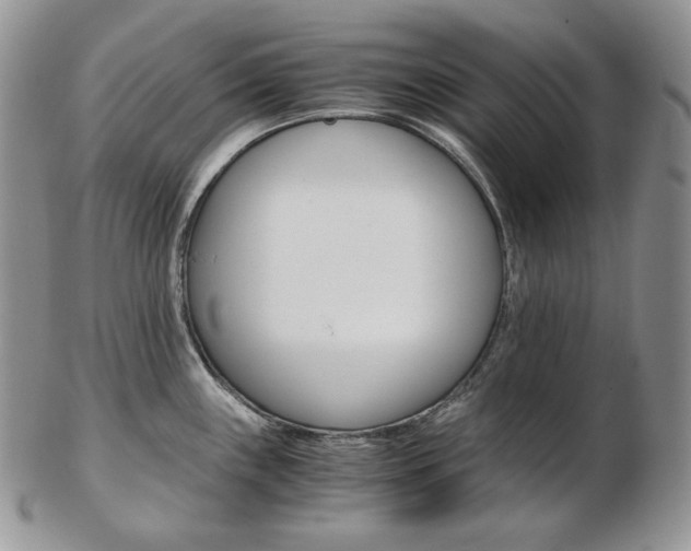 X0000103131243200808221034
