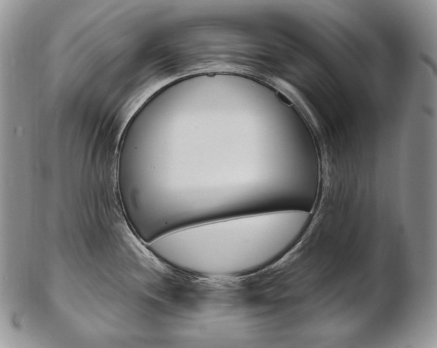 X0000103131244200808221034