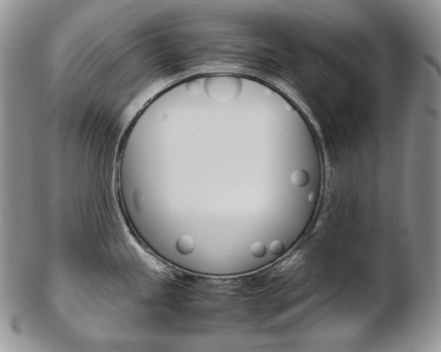 X0000103131245200808221034