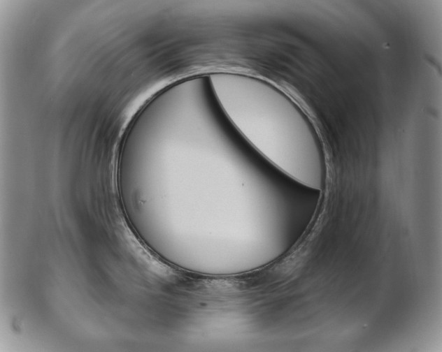 X0000103131246200808221034