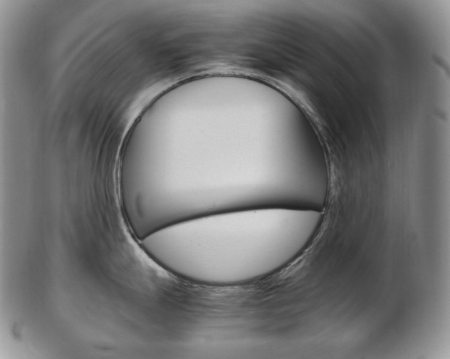 X0000103131247200808221034