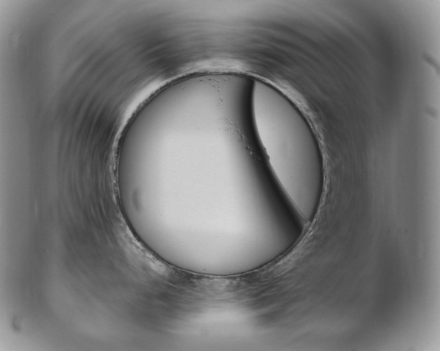 X0000103131248200808221034
