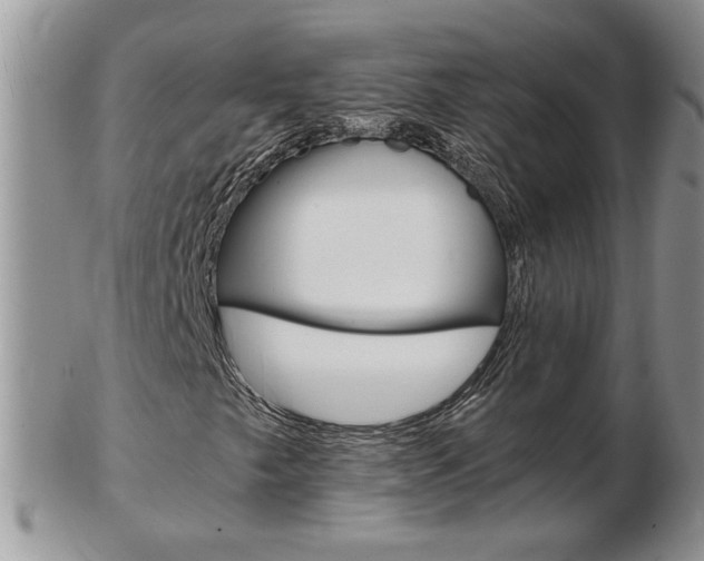 X0000103131249200808221033