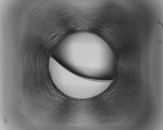 X0000103131250200808221033