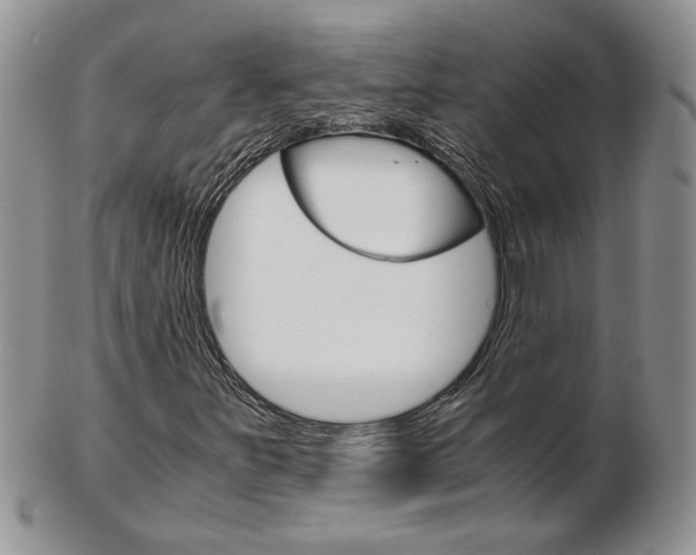 X0000103131251200808221033