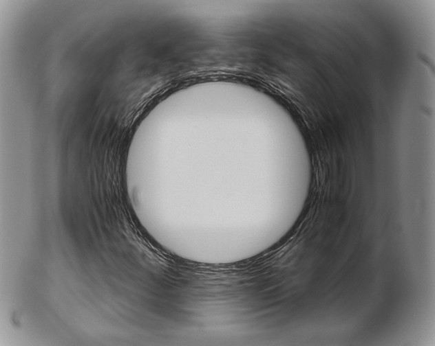 X0000103131252200808221033