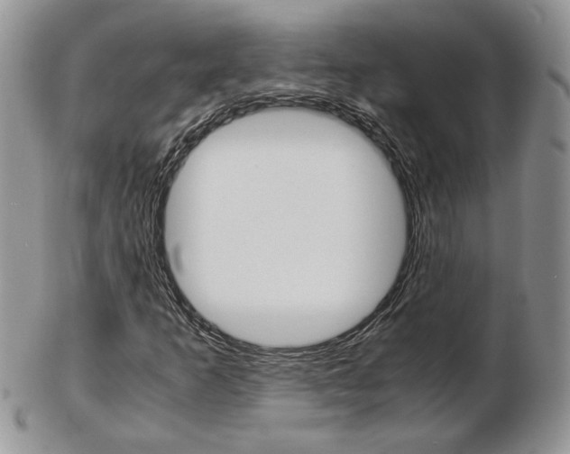 X0000103131253200808221033