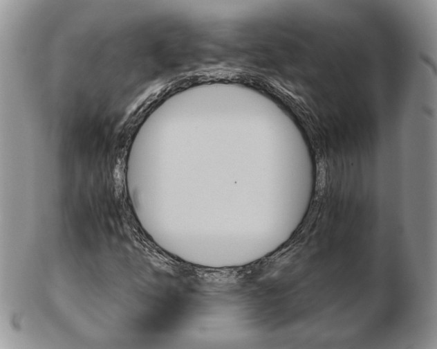 X0000103131254200808221033