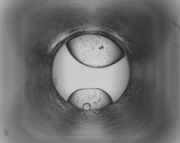 X0000103131255200808221033