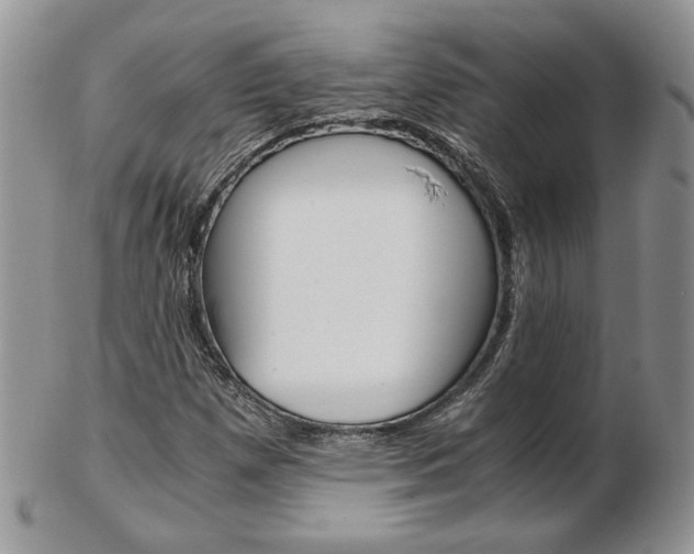 X0000103131257200808221033