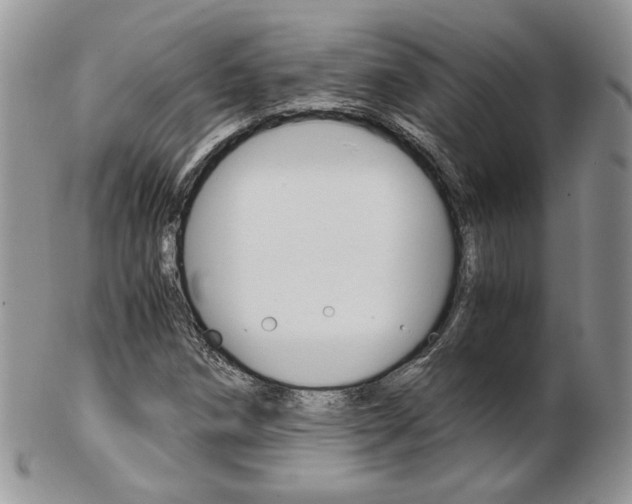 X0000103131258200808221033