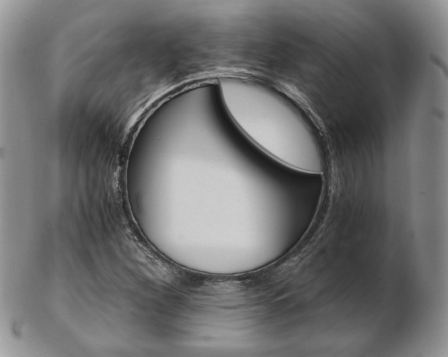 X0000103131260200808221033