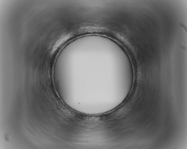 X0000103131261200808221033