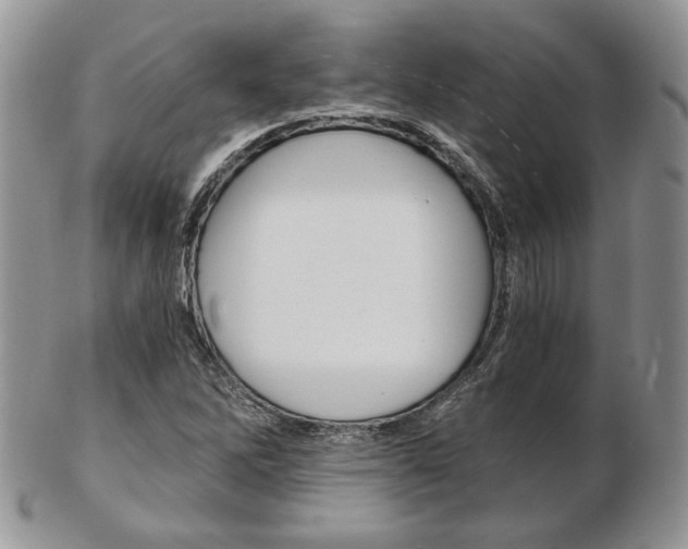 X0000103131262200808221033