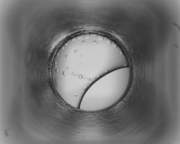 X0000103131263200808221033