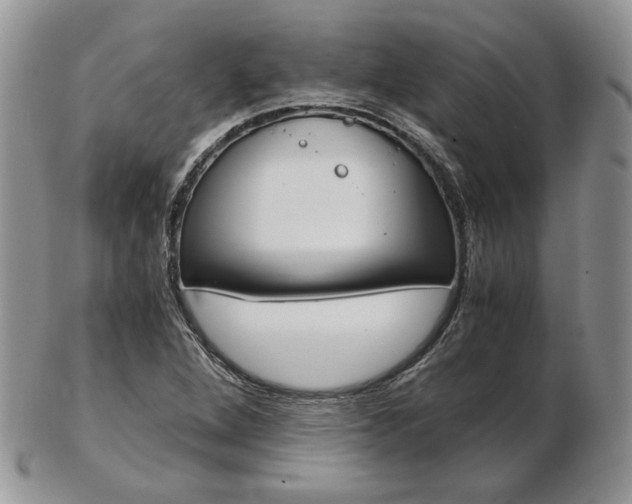 X0000103131264200808221033