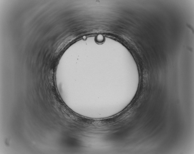 X0000103131265200808221033