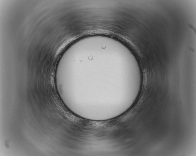 X0000103131266200808221033