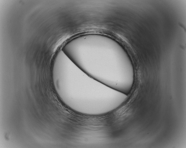 X0000103131267200808221033