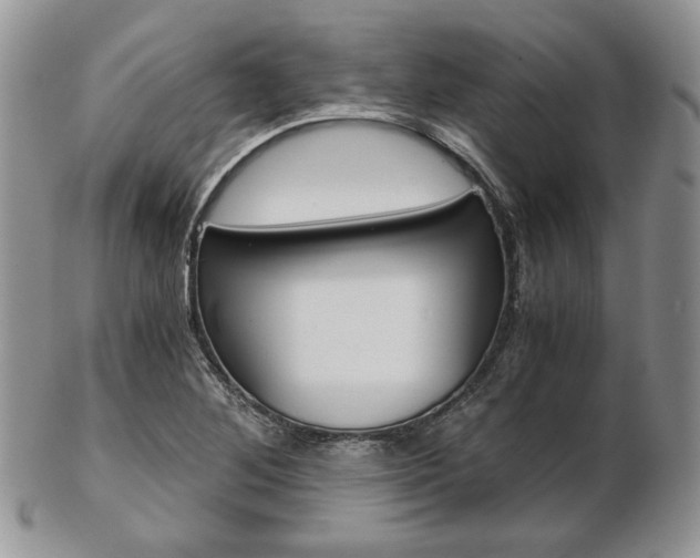 X0000103131268200808221033