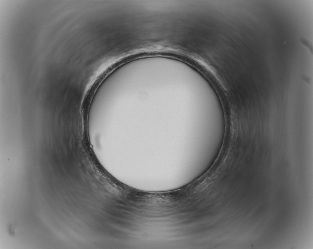 X0000103131270200808221033