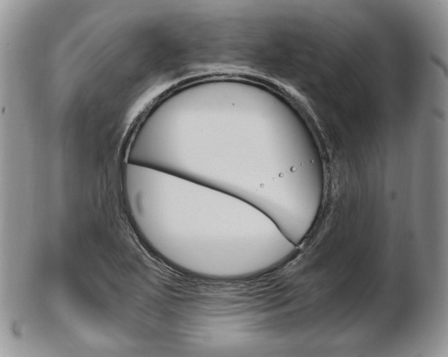 X0000103131271200808221033