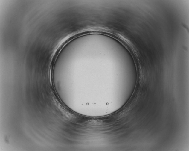 X0000103131272200808221033