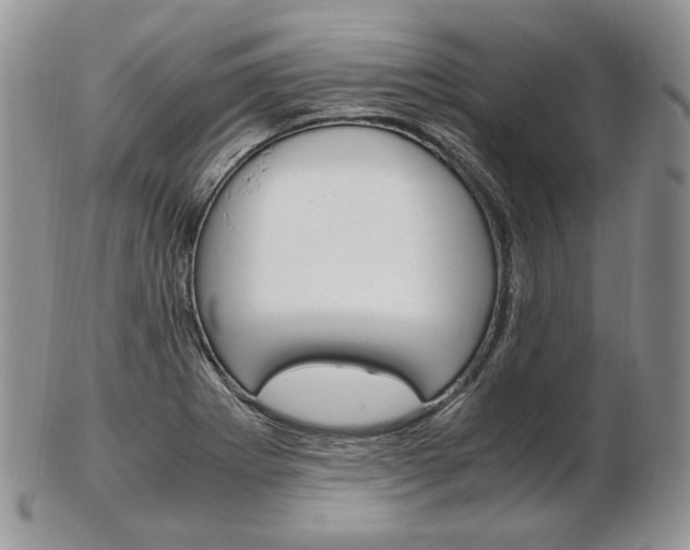 X0000103131273200808221033