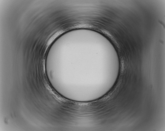 X0000103131274200808221033