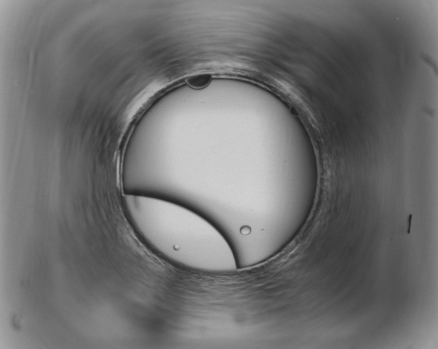 X0000103131275200808221033